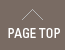 PAGE TOP
